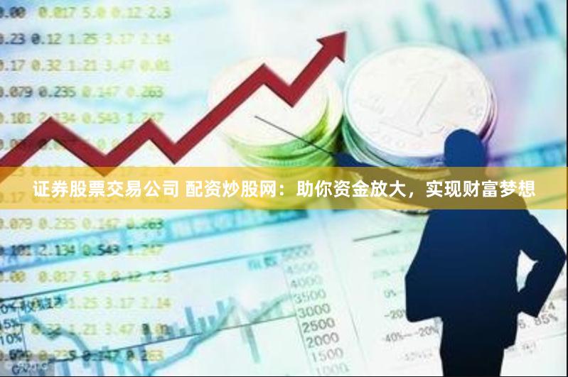 证券股票交易公司 配资炒股网：助你资金放大，实现财富梦想