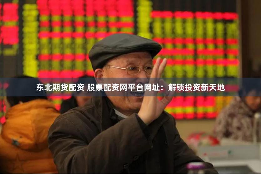东北期货配资 股票配资网平台网址：解锁投资新天地