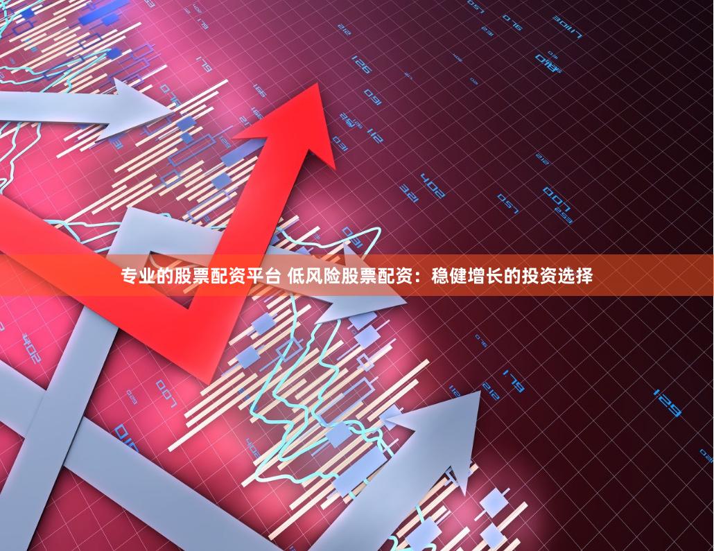 专业的股票配资平台 低风险股票配资：稳健增长的投资选择