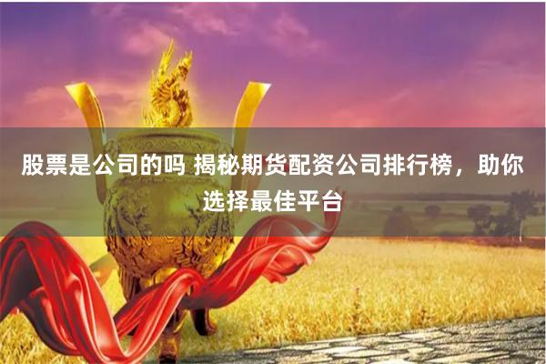股票是公司的吗 揭秘期货配资公司排行榜,助你选择最佳平台